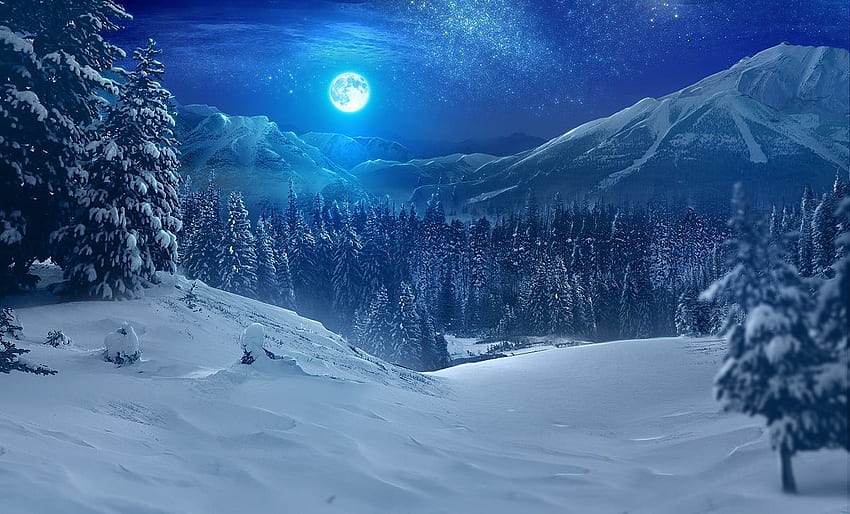Snowy Moon、Dark Forest Moon 高画質の壁紙