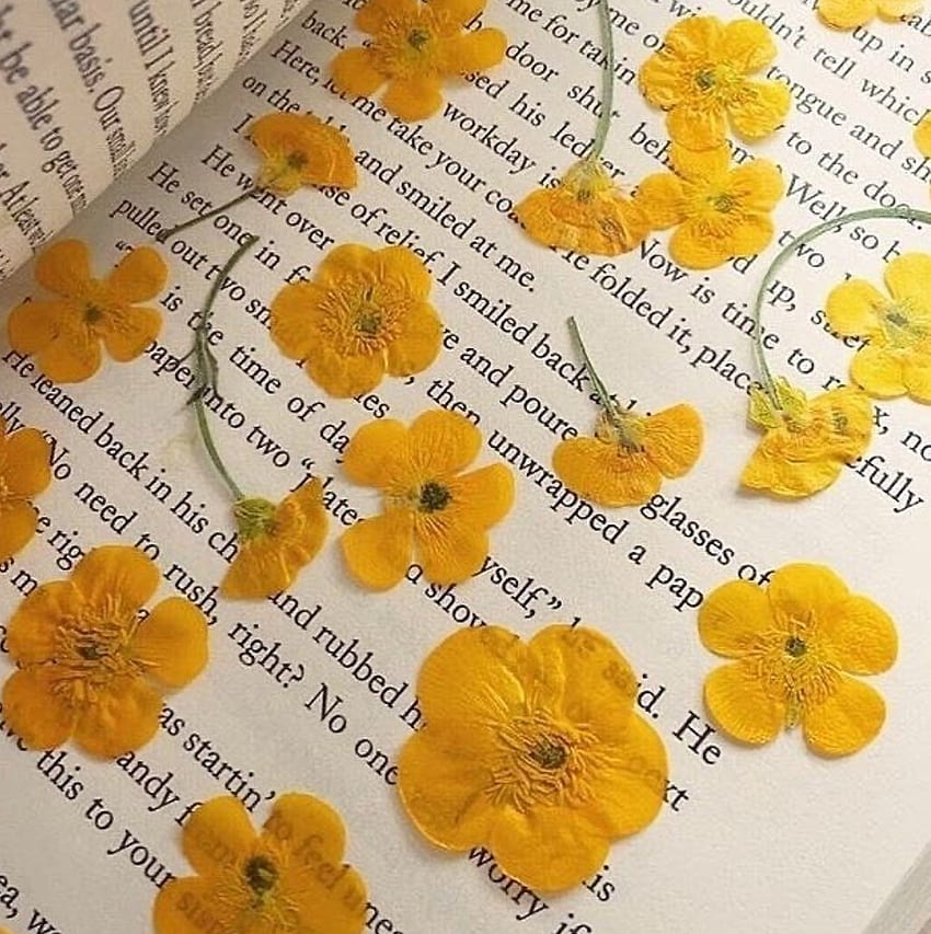emptytothebone, Sarı Çiçekler Kitapları HD telefon duvar kağıdı