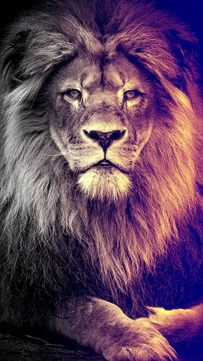 Aslan HD-Handy-Hintergrundbild