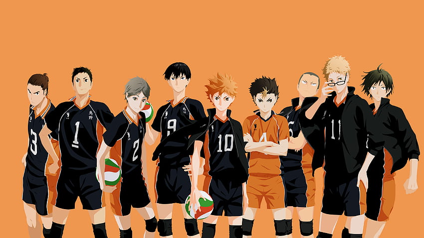 Karasuno Volleyball Team im Jahr 2020. Haikyuu, Karasuno, Haikyuu, Haikyuu Cool HD-Hintergrundbild