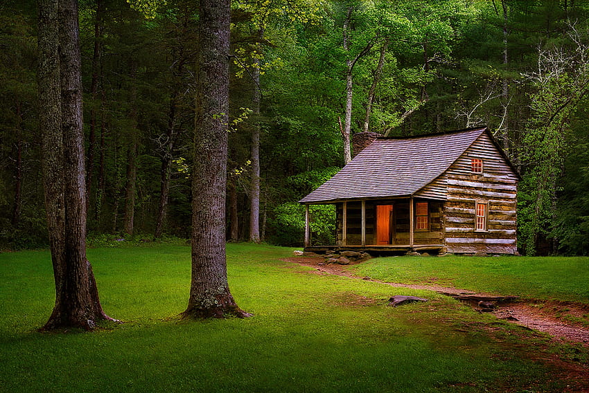 Forest cottage, summer, wooden, house, trees, grass, cottage, spring, forest, beautiful HD wallpaper