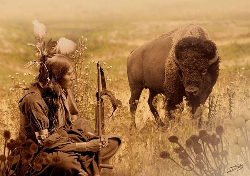 Sioux and Bison and, Native American Bison HD wallpaper