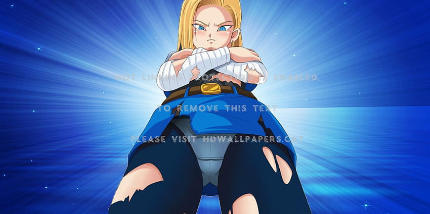 Epische Ansicht Dragon Ball Z TV-Serie Anime 18, Epic DBZ HD-Hintergrundbild