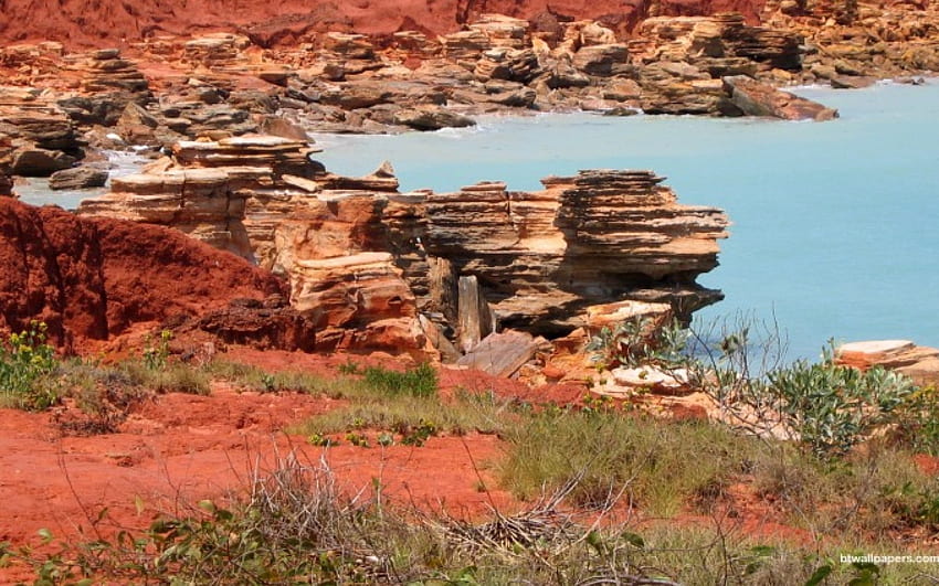 赤い砂漠と青い水、青い水、オーストラリア、岩の露頭、赤い砂漠、在来植物の出会い 高画質の壁紙