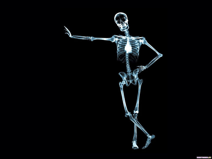 Anatomia umana, Anatomia dello scheletro Sfondo HD