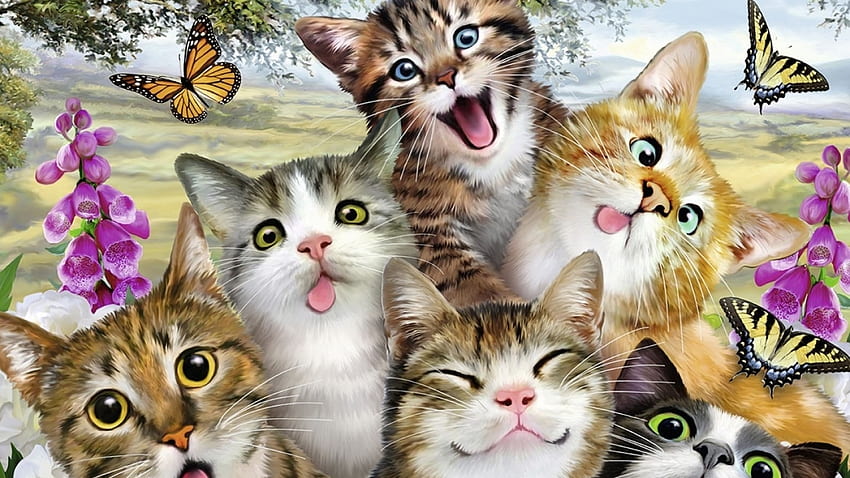 Lustige Katzen, Katze, Deutschland, Freunde, Lustige Wallpaper HD