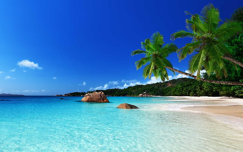 Island Tropical за Android Пълни HD тапет