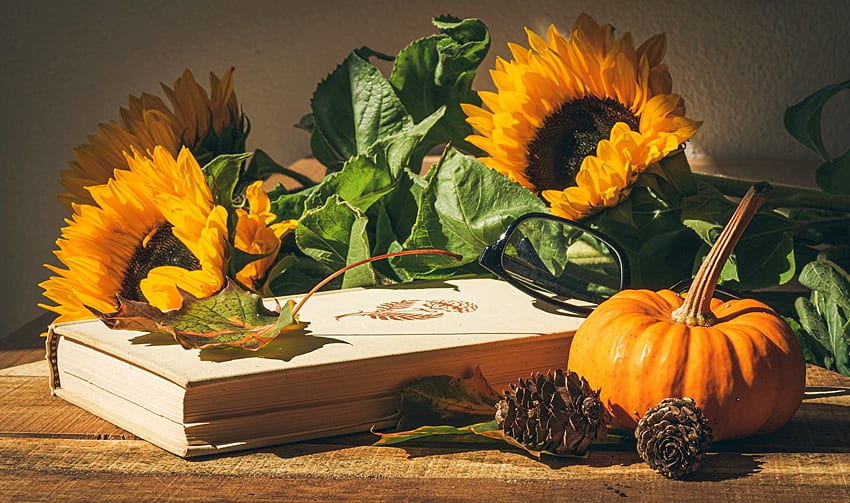 Bunga Labu Dedaunan Buku makanan Helianthus Kerucut pinus, Labu Bunga Matahari Wallpaper HD