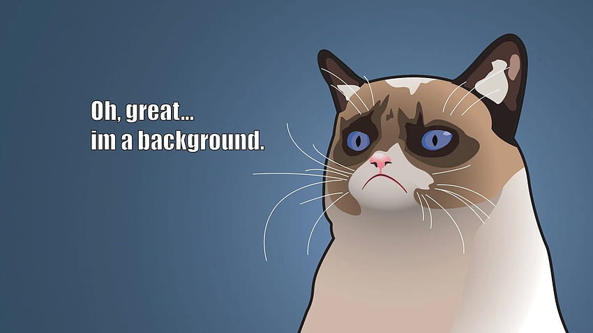 Grumpy Cat - Oh great. I'm a background . Background ., Minimalist Cat HD wallpaper