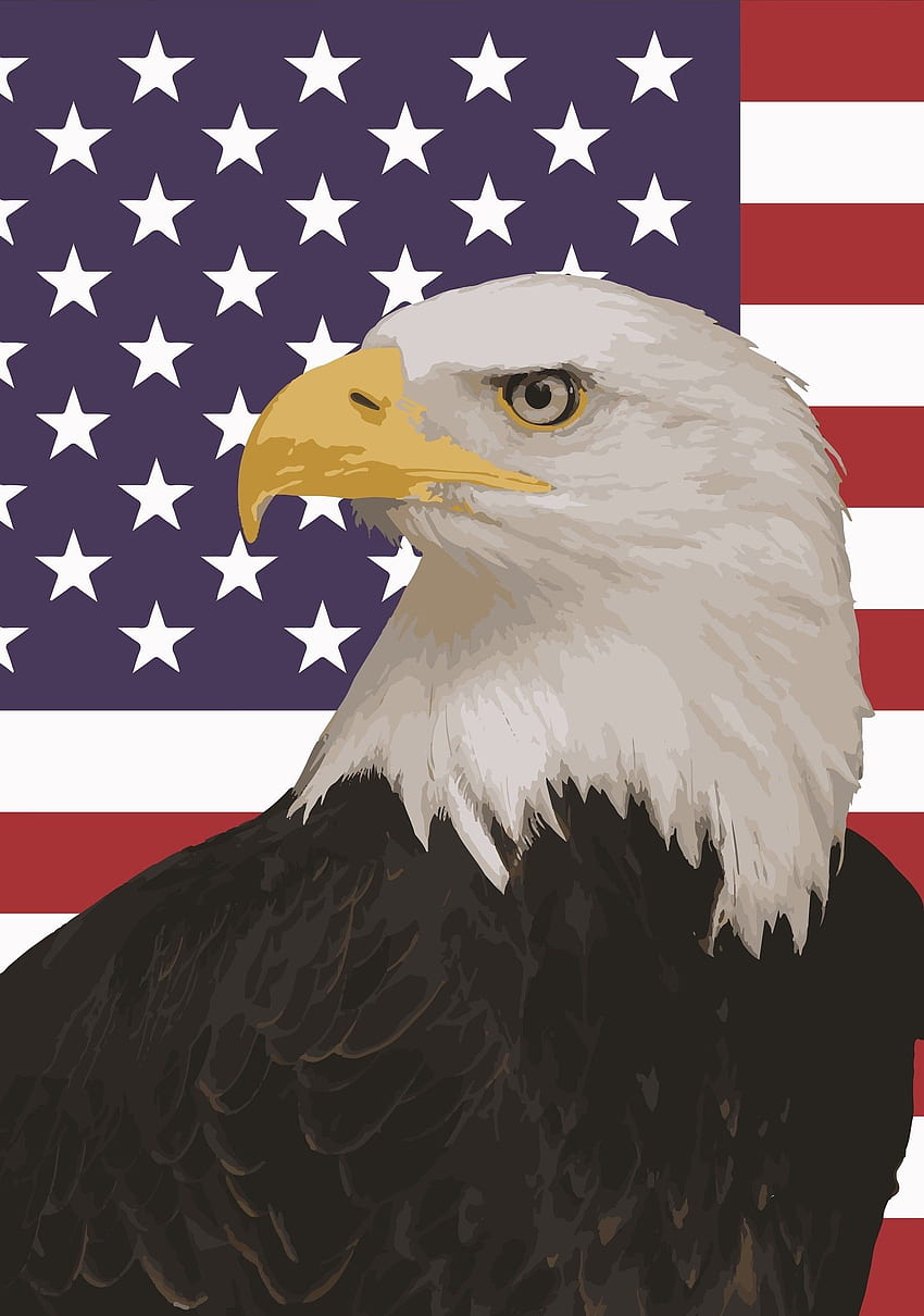 American Bald Eagle, Bald Eagle Flag HD phone wallpaper