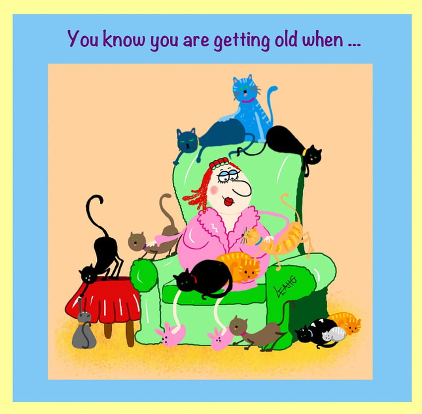 FUNNY OLD LADY, OLD, LADY, FUNNY, CAT HD wallpaper