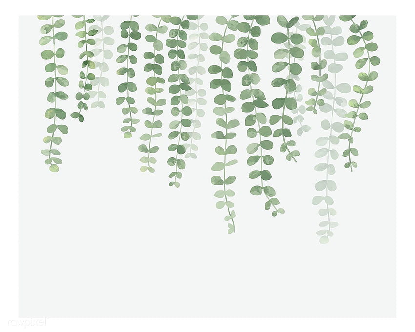 premium illustration of Illustration of hanging plant, Hanging Plants HD wallpaper