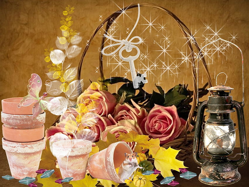 Still life, rose, autumn, magic HD wallpaper
