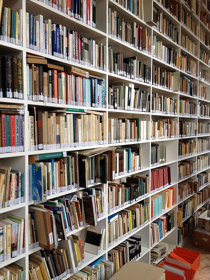 : Book, Shelf, Library, Books, Read, education, Bookcase HD phone wallpaper
