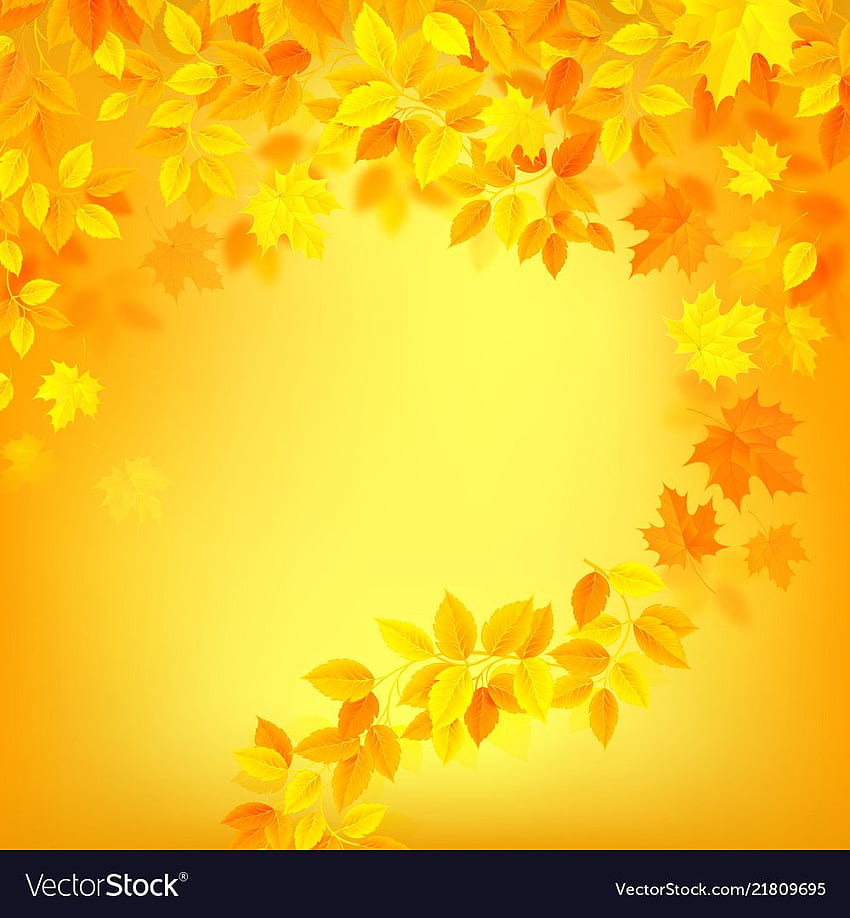 Цветен фон за есенна декорация с жълт, жълт цвят HD тапет за телефон