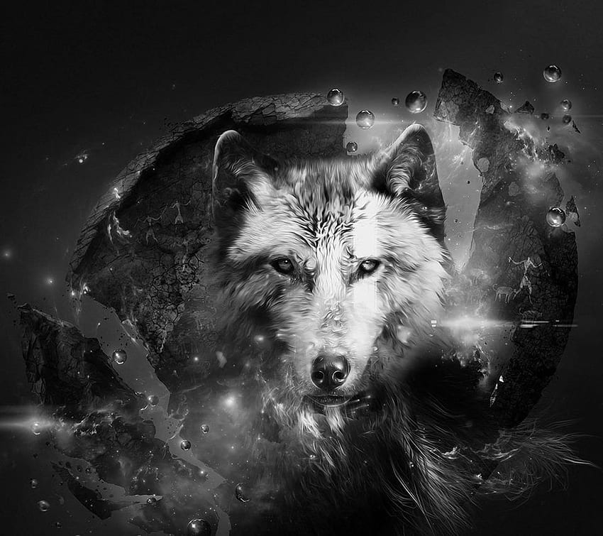 Enchanted Wolf. Wolves. Wolf, Wolf life and Wolf spirit HD wallpaper ...