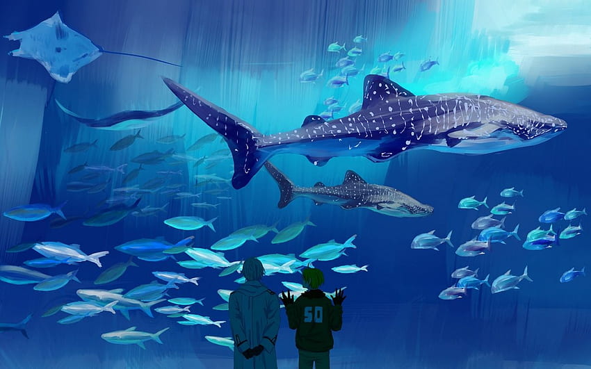 big, oceanarium, axis powers, Anime Water HD wallpaper