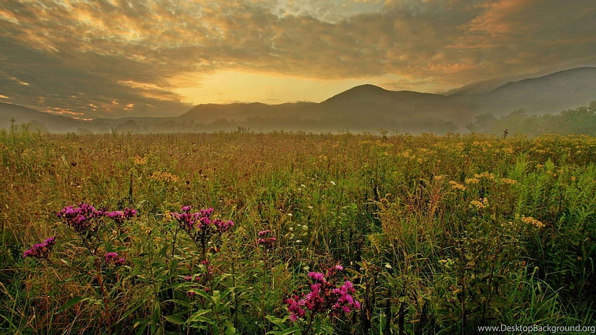 Morning, Cades Cove, Great Smoky Mountains . Background HD wallpaper