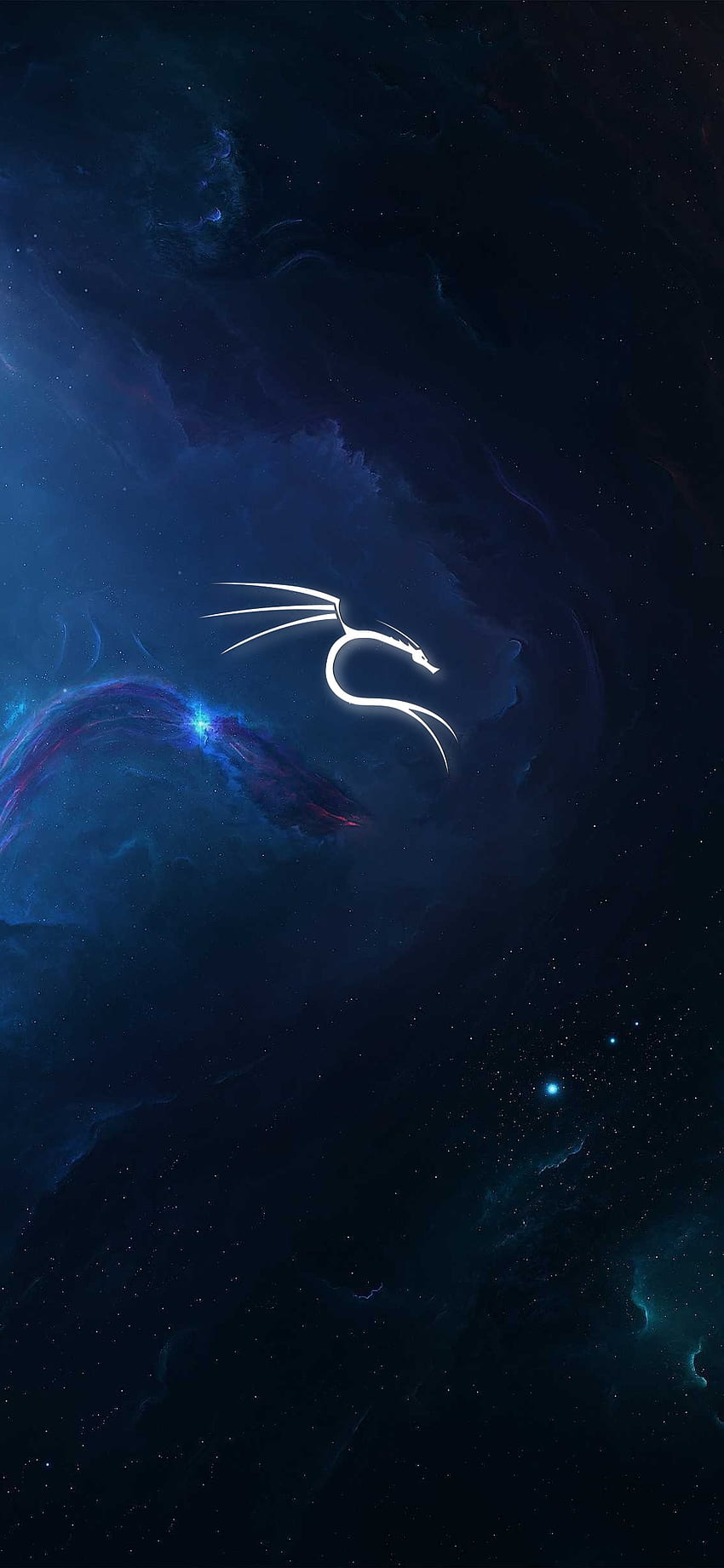 Kali linux, niebo, kosmos Tapeta na telefon HD