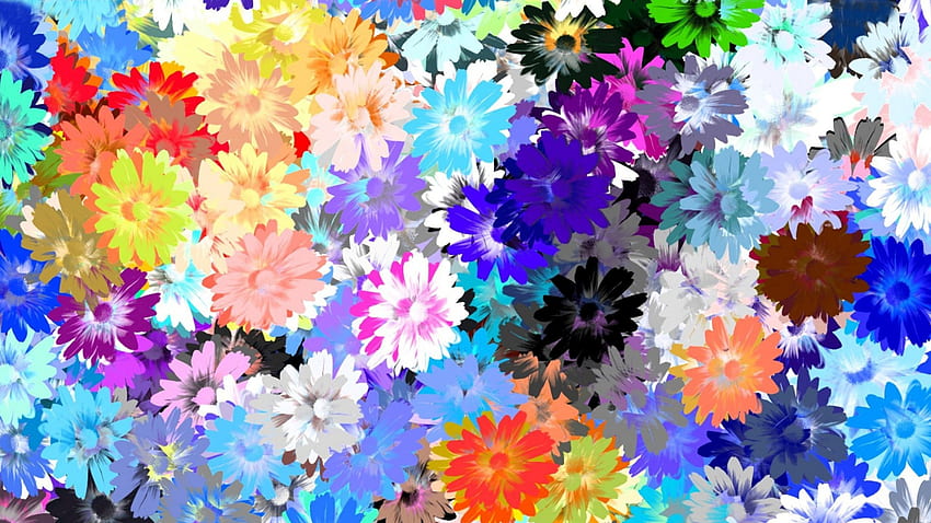 bunch of flowers, background, colors, flowers, many HD wallpaper