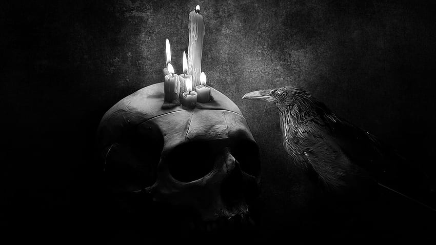 Skull, Dark, Bird, Drawing, , Candle, Crow HD wallpaper