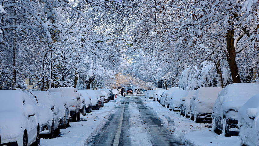 Snow Covered Cars Road Tree Branches graphy graphy HD wallpaper