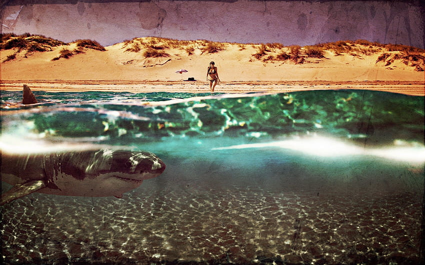 kim kardashian shark beach water vintage hopped HD wallpaper