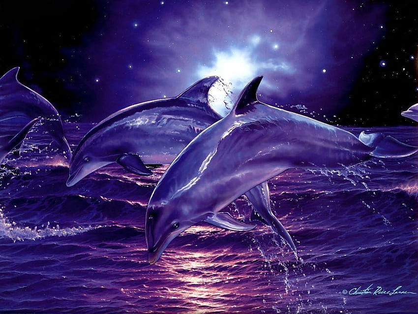 Sea of Hearts  Dolphin art Heart canvas Dolphins