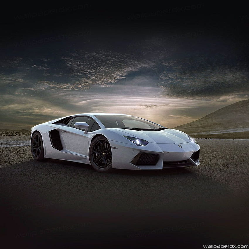 Lamborghini Car Exotic White Art full ipad HD phone wallpaper | Pxfuel