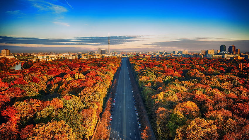 ベルリンの秋、ドイツ、ベルリン、車、木々、秋、空、道、自然、森 高画質の壁紙