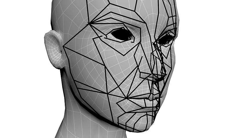 The Golden Ratio in 3D human face modeling – valentin schwind HD wallpaper