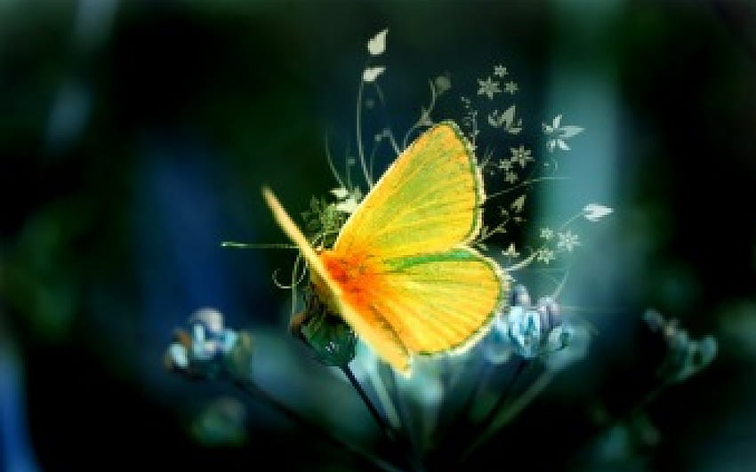 Kupu-kupu yang indah, hewan, tumbuhan, kupu-kupu, indah, alam Wallpaper HD