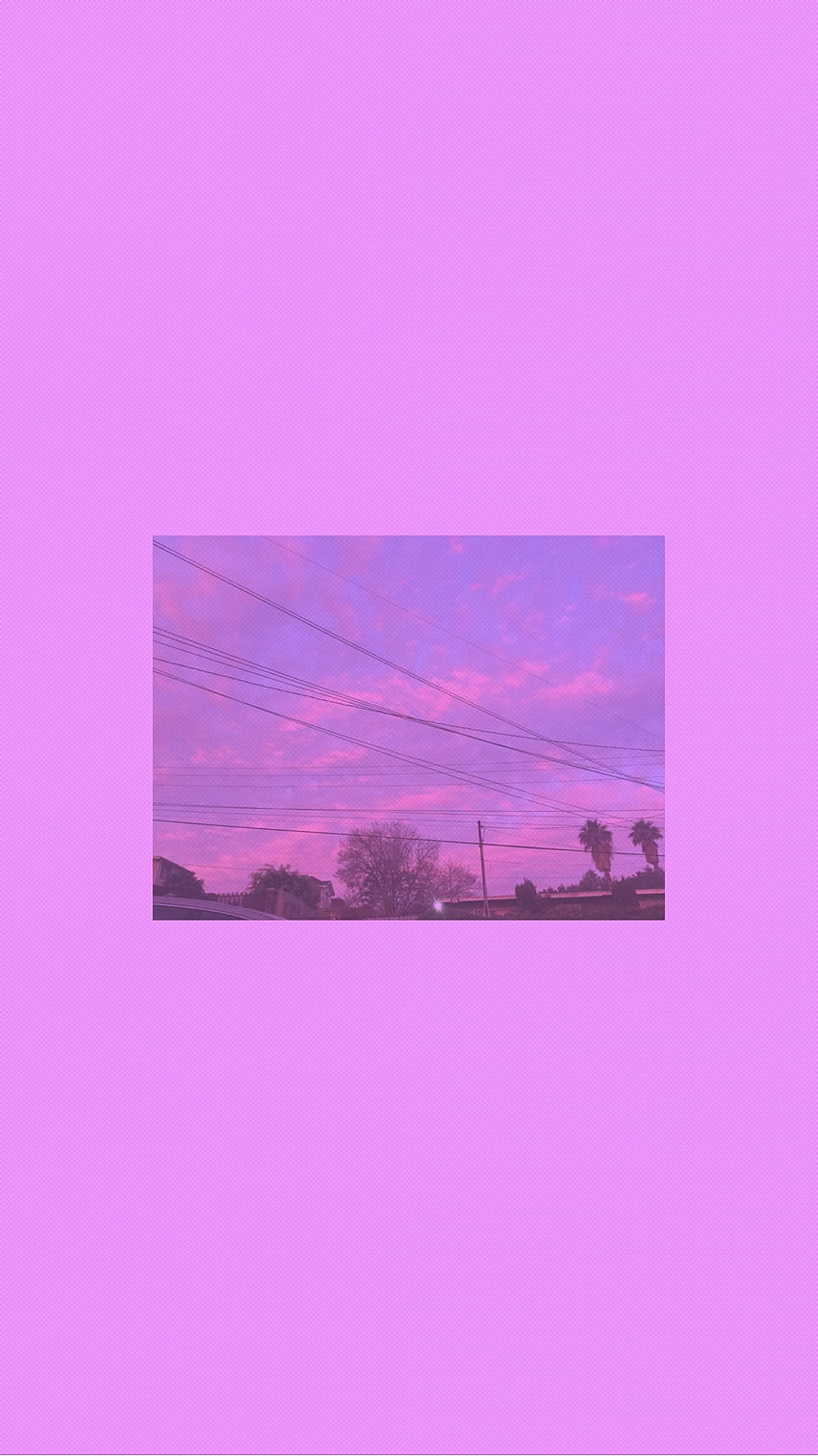 simple purple in 2020. Cute tumblr , Aesthetic , Cute HD phone wallpaper