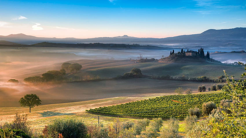 Árbol solitario, Val d'Orcia, Toscana, Italia. Proyector de Windows 10, Proyector verde fondo de pantalla