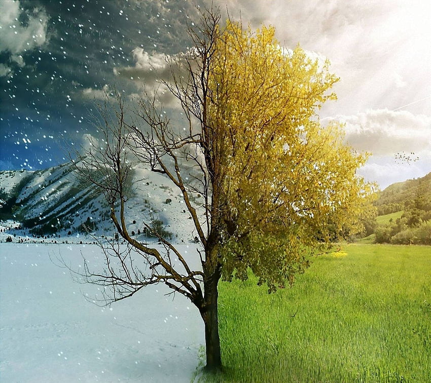 Winter Vs Summer HD wallpaper