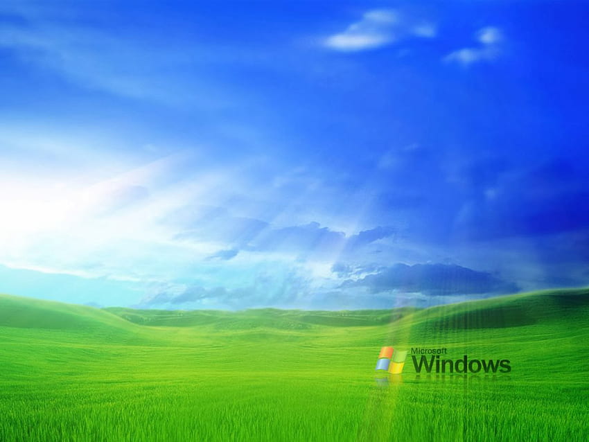 Grass Windows XP [] dla twojego , telefonu komórkowego i tabletu. Eksploruj Xp. Windows Xp, w tle, Windows 97 Tapeta HD