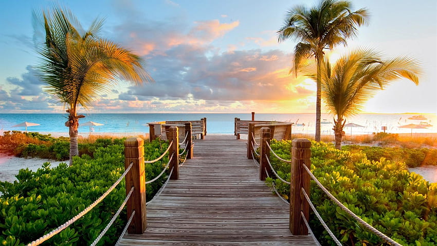 tropical beach resort background