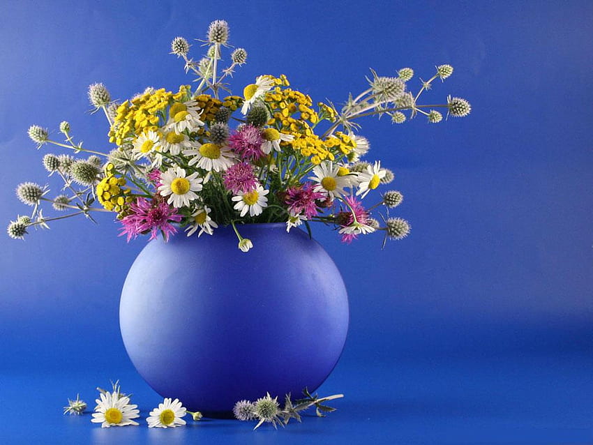 Biru masih hidup, biru, masih hidup, karangan bunga, bunga, alam Wallpaper HD