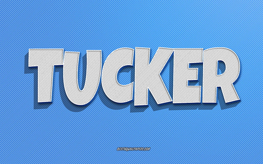 Tucker, blue lines background, with names, Tucker name, male names, Tucker greeting card, line art, with Tucker name HD wallpaper