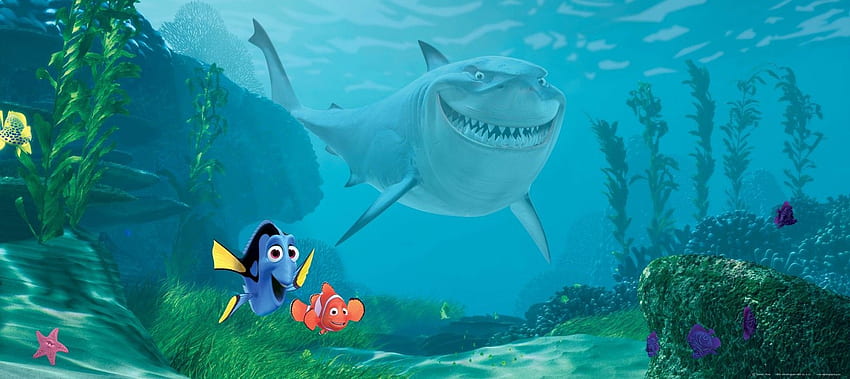 Bruce Finding Nemo Quotes. QuotesGram, Nemo Shark HD wallpaper