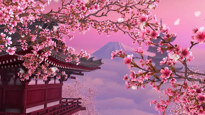 Japan Cherry Blossoms, Aesthetic Cherry Blossoms HD wallpaper | Pxfuel