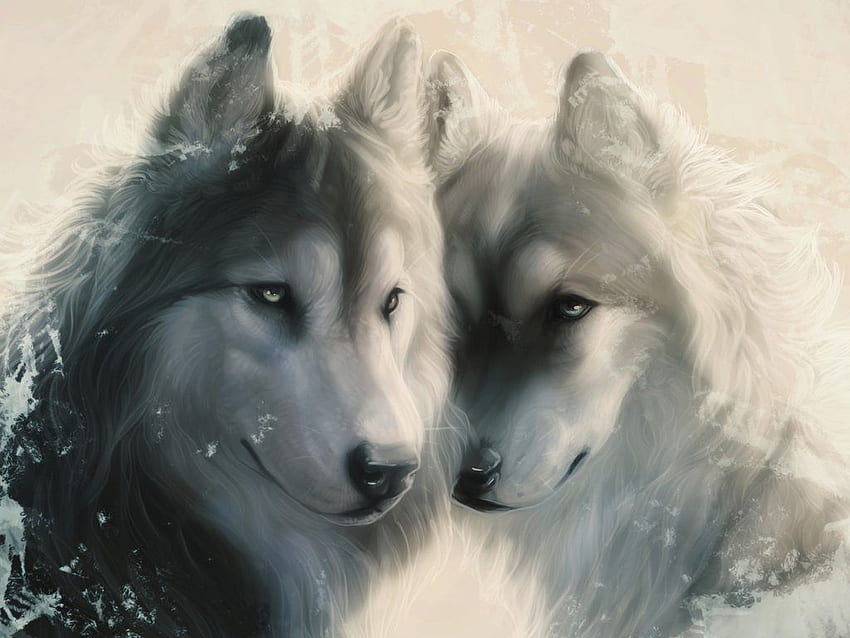 Para wilków autorstwa Arweenh. Wilcza miłość, Zwierzęta, Piękne wilki Tapeta HD