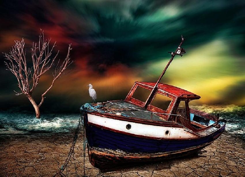 Time passing, boat, gull, beach, lake, sand clouds, shore, aging, trees, stormy sky HD wallpaper