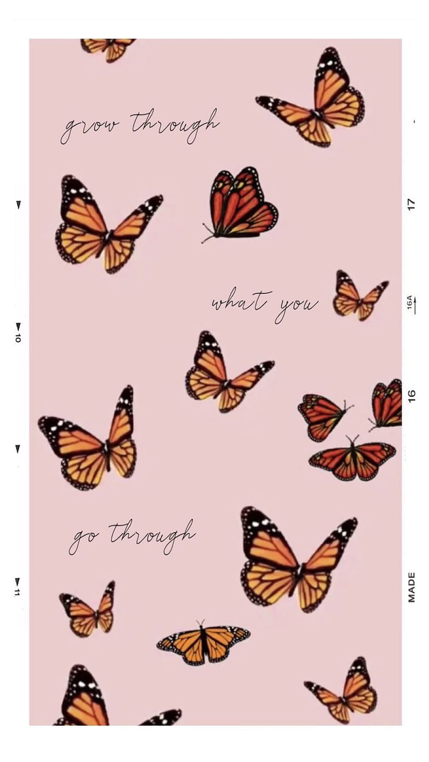 BUTTERFLY PATTERN in 2020. Butterfly iphone, iPhone , Butterfly, Butterfly Quotes HD phone wallpaper