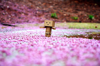 Cute Danbo Wallpaper