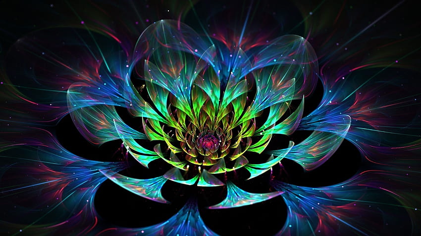 Nature Lotus 4k Ultra HD Wallpaper