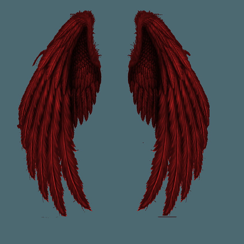 realistic devil wings png