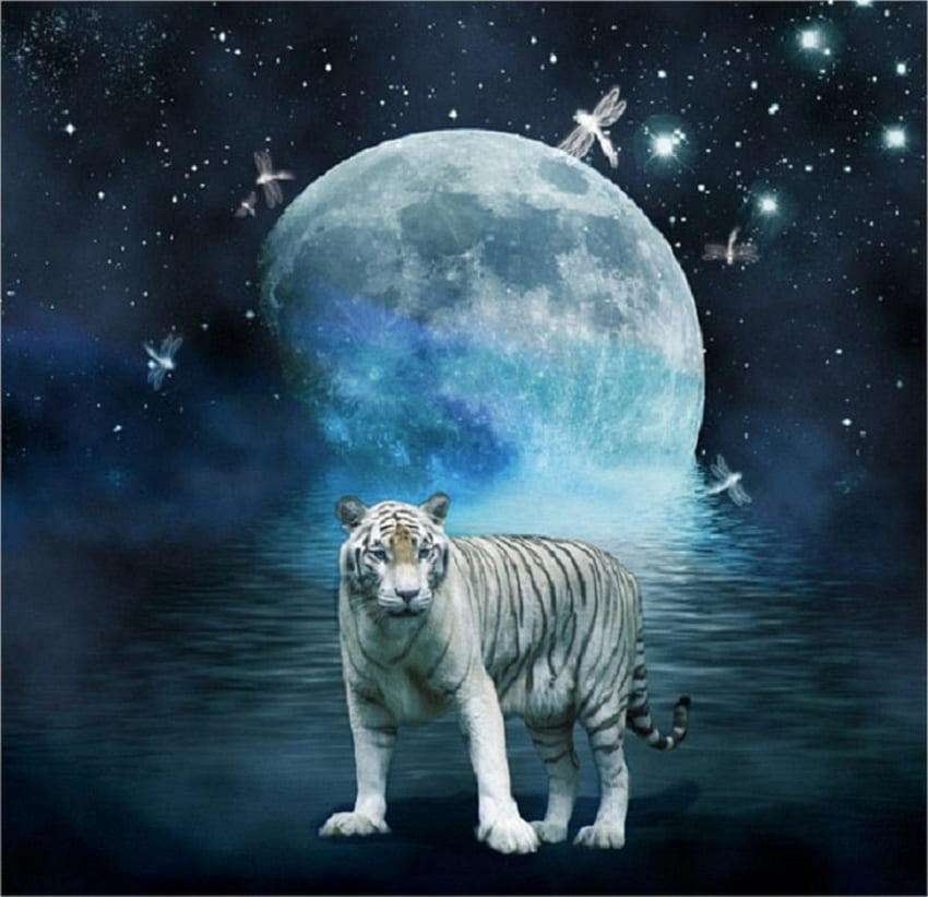 Tiger Moon, abstract, tiger, moon, fantasy, animals, other HD wallpaper