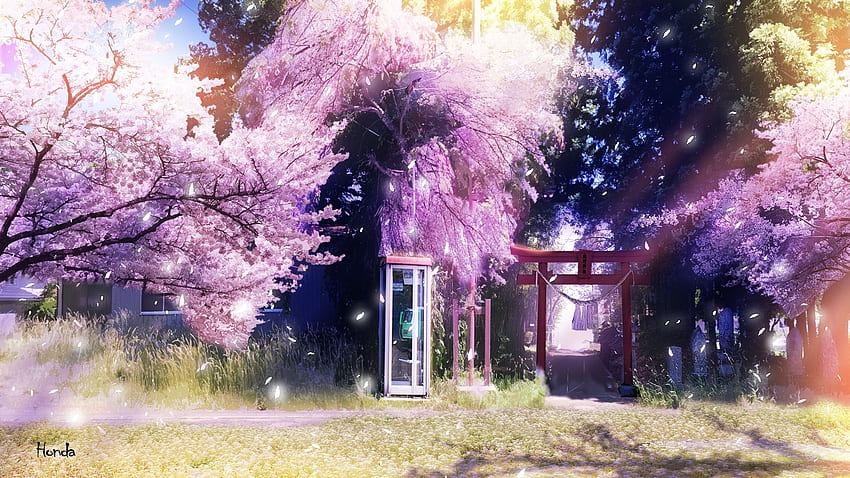 Anime Fleur de cerisier , Anime japonais Sakura Fond d'écran HD