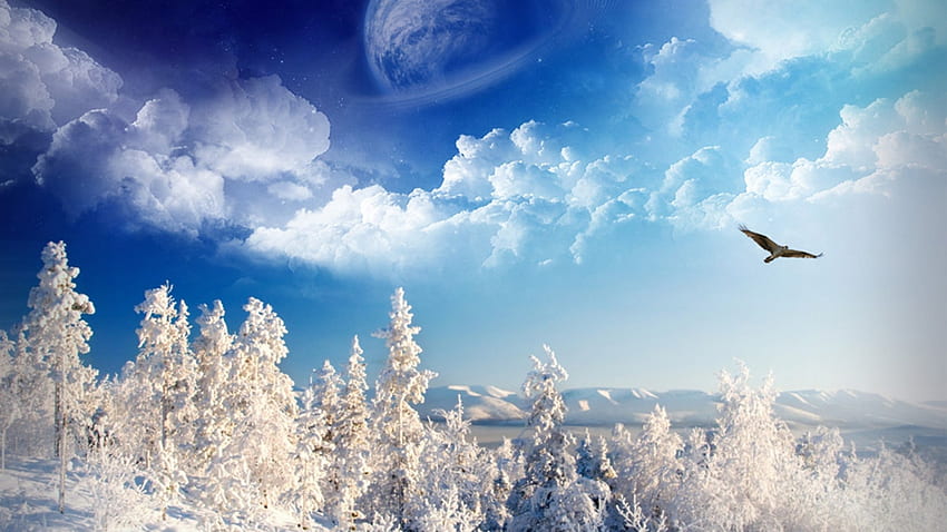 Winter Wonderland, winter, planets, skies, snow, other, trees, nature HD wallpaper
